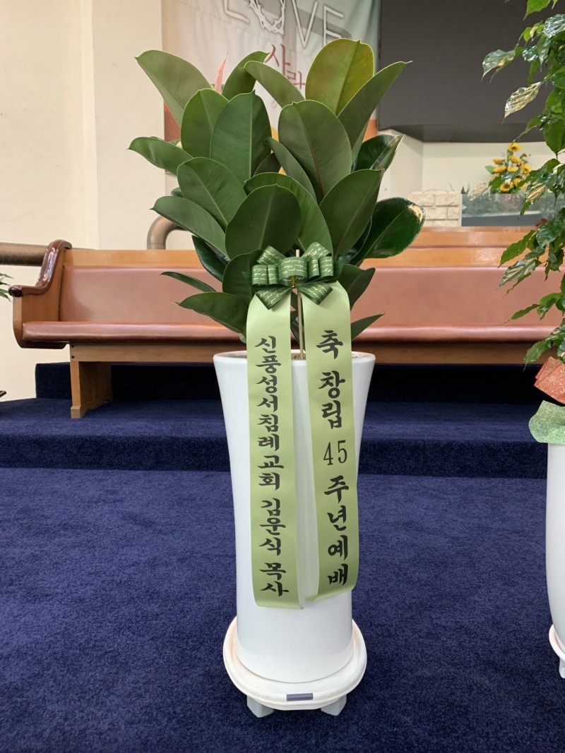 ae21326cfe17ac80244e46faa879b62d_1623487