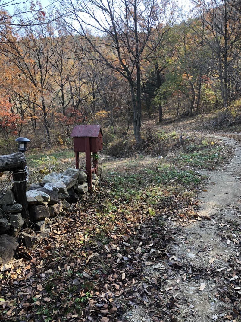 b4e1dd9ed1946355e231b7b60091ec93_1637410