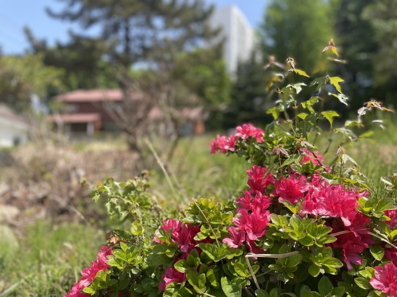 0307a2c1611e2f3da331c1a958c781e6_1651023