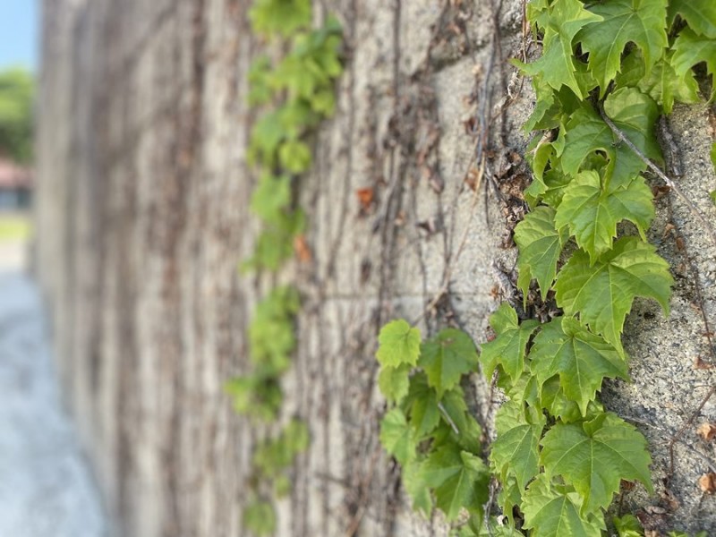 0307a2c1611e2f3da331c1a958c781e6_1651023