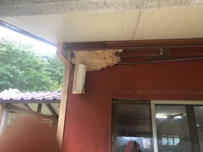 46eefc0fa8013cc434ca666ff5aeab0a_1665811